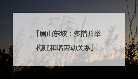 眉山东坡：多措并举构建和谐劳动关系