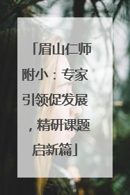 眉山仁师附小：专家引领促发展，精研课题启新篇