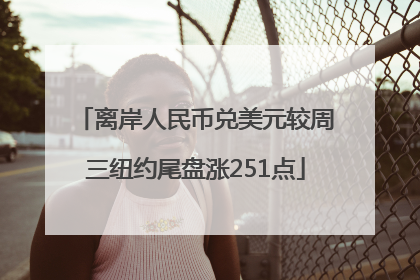 离岸人民币兑美元较周三纽约尾盘涨251点