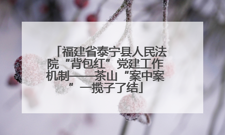 福建省泰宁县人民法院“背包红”党建工作机制——茶山“案中案”一揽子了结