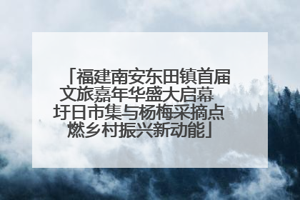 福建南安东田镇首届文旅嘉年华盛大启幕 圩日市集与杨梅采摘点燃乡村振兴新动能
