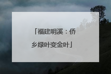 福建明溪：侨乡绿叶变金叶