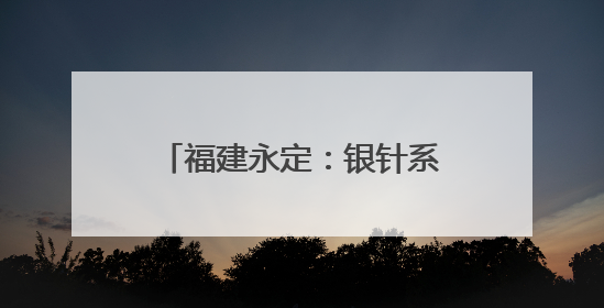 福建永定：银针系乡情 山乡守健康——高陂卫生院扎根乡土的“针”功夫
