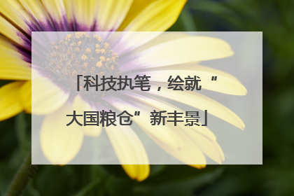 科技执笔，绘就“大国粮仓”新丰景