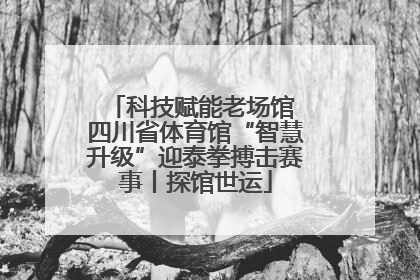 科技赋能老场馆 四川省体育馆“智慧升级”迎泰拳搏击赛事丨探馆世运