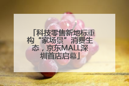 科技零售新地标重构“家场景”消费生态，京东MALL深圳首店启幕