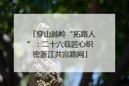 穿山越岭“拓路人”：二十六载匠心织密浙江共富路网