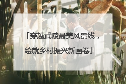 穿越武陵最美风景线，绘就乡村振兴新画卷