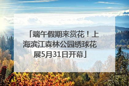 端午假期来赏花！上海滨江森林公园绣球花展5月31日开幕