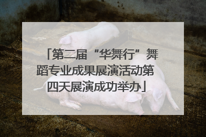 第二届“华舞行”舞蹈专业成果展演活动第四天展演成功举办