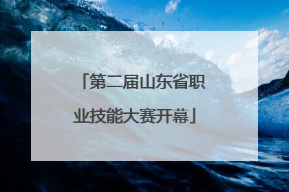 第二届山东省职业技能大赛开幕