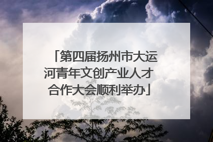 第四届扬州市大运河青年文创产业人才合作大会顺利举办
