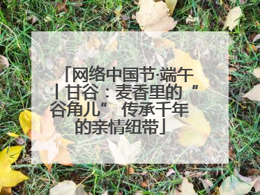 网络中国节·端午丨甘谷：麦香里的“谷角儿” 传承千年的亲情纽带