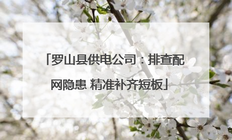 罗山县供电公司：排查配网隐患 精准补齐短板