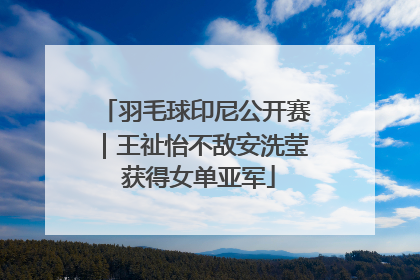 羽毛球印尼公开赛｜王祉怡不敌安洗莹 获得女单亚军