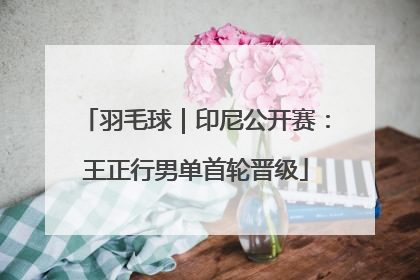 羽毛球｜印尼公开赛：王正行男单首轮晋级