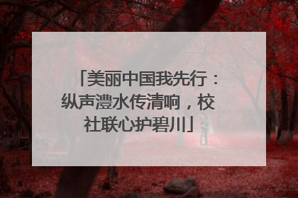 美丽中国我先行：纵声澧水传清响，校社联心护碧川