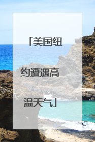 美国纽约遭遇高温天气