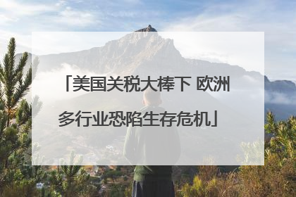 美国关税大棒下 欧洲多行业恐陷生存危机