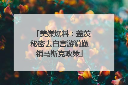 美媒爆料：盖茨秘密去白宫游说撤销马斯克政策