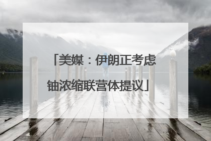 美媒：伊朗正考虑铀浓缩联营体提议
