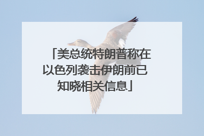 美总统特朗普称在以色列袭击伊朗前已知晓相关信息