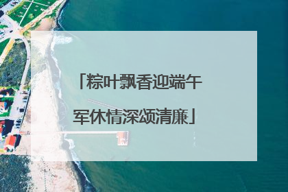 粽叶飘香迎端午 军休情深颂清廉