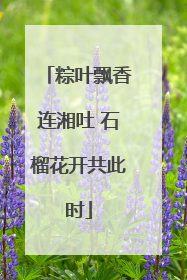粽叶飘香连湘吐 石榴花开共此时