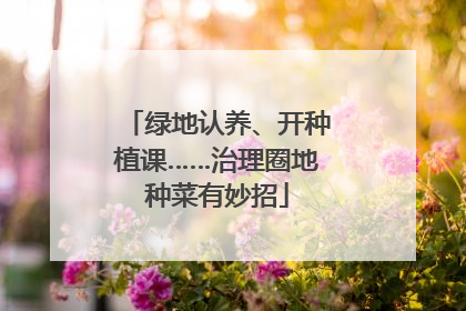 绿地认养、开种植课……治理圈地种菜有妙招