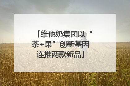 维他奶集团以“茶+果”创新基因连推两款新品