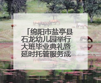 绵阳市盐亭县石龙幼儿园举行大班毕业典礼暨延时托管服务成果展