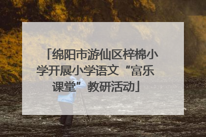 绵阳市游仙区梓棉小学开展小学语文“富乐课堂”教研活动
