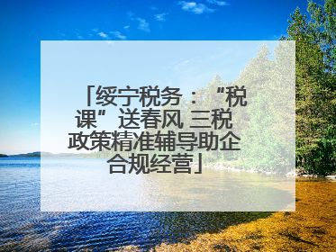 绥宁税务：“税课”送春风 三税政策精准辅导助企合规经营