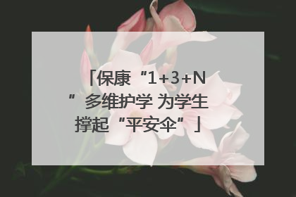 保康“1+3+N”多维护学 为学生撑起“平安伞”