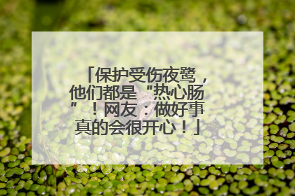 保护受伤夜鹭，他们都是“热心肠”！网友：做好事真的会很开心！