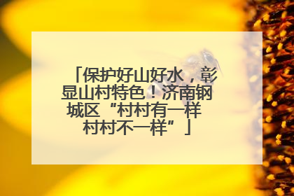 保护好山好水，彰显山村特色！济南钢城区“村村有一样 村村不一样”