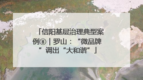 信阳基层治理典型案例⑧｜罗山：“微品牌”调出“大和谐”