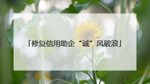修复信用助企“诚”风破浪