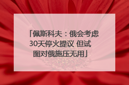 佩斯科夫：俄会考虑30天停火提议 但试图对俄施压无用