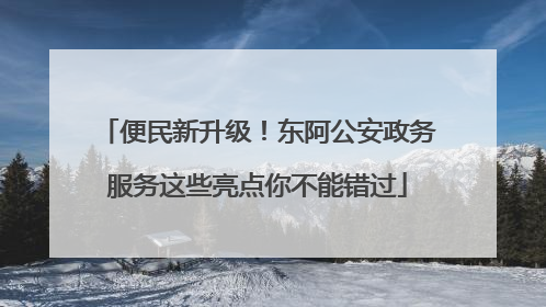 便民新升级！东阿公安政务服务这些亮点你不能错过