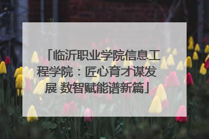 临沂职业学院信息工程学院：匠心育才谋发展 数智赋能谱新篇