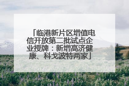 临港新片区增值电信开放第二批试点企业授牌：新增高济健康、科戈波特两家