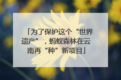 为了保护这个“世界遗产”，蚂蚁森林在云南再“种”新项目