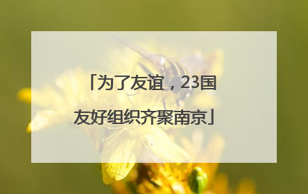为了友谊，23国友好组织齐聚南京