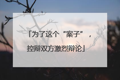 为了这个“案子”，控辩双方激烈辩论