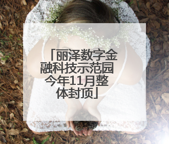丽泽数字金融科技示范园今年11月整体封顶