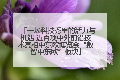 一场科技秀里的活力与机遇 近百项中外前沿技术亮相中东欧博览会“数智中东欧”板块