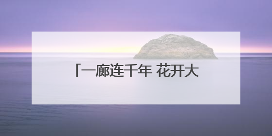 一廊连千年 花开大遗址丨遗产日一起来河南，行走大遗址