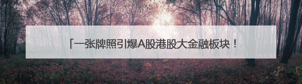 一张牌照引爆A股港股大金融板块！国泰君安国际罕见一天股价翻2倍