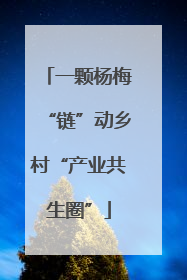 一颗杨梅“链”动乡村“产业共生圈”
